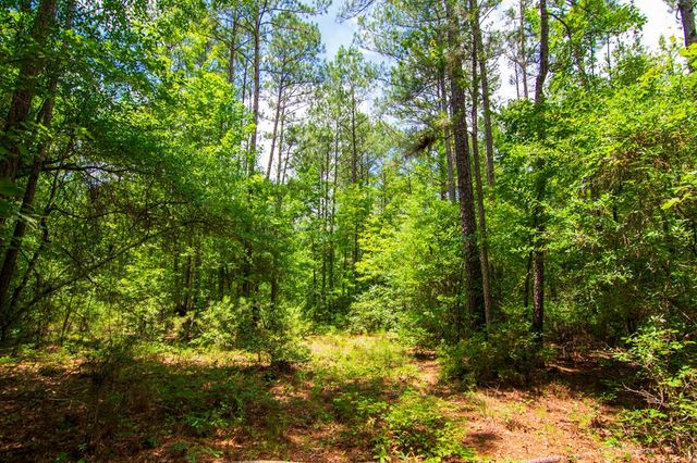 0 White Road, Pine Mountain, GA 31822