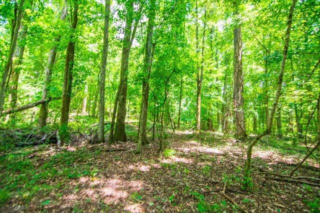 0 White Road, Pine Mountain, GA 31822