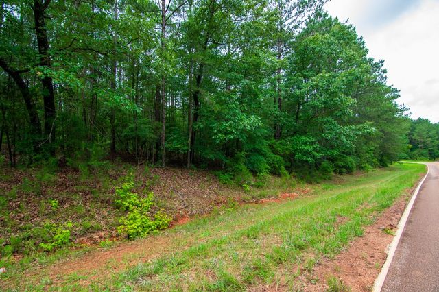 0 White Road, Pine Mountain, GA 31822