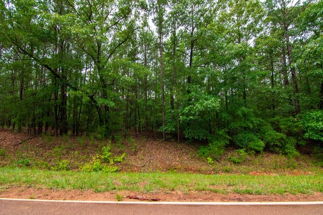 0 White Road, Pine Mountain, GA 31822