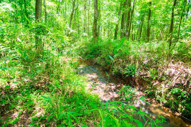 0 White Road, Pine Mountain, GA 31822