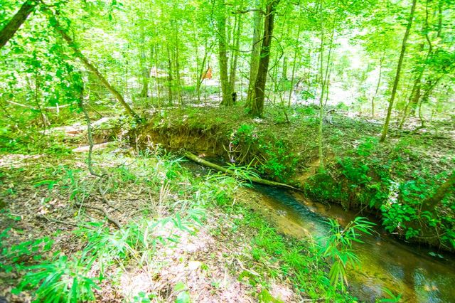 0 White Road, Pine Mountain, GA 31822