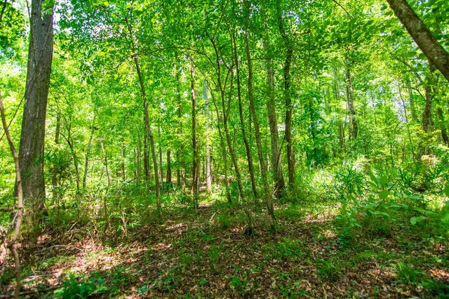 0 White Road, Pine Mountain, GA 31822