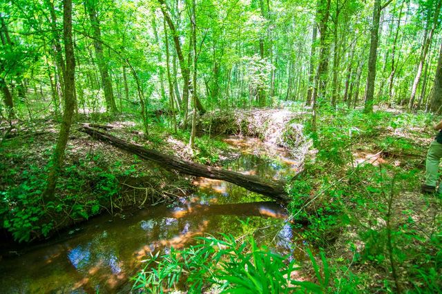 0 White Road, Pine Mountain, GA 31822