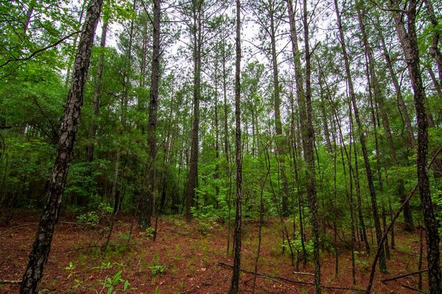 0 White Road, Pine Mountain, GA 31822