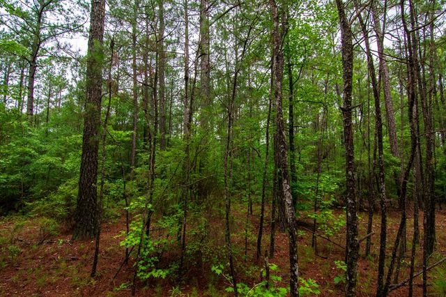 0 White Road, Pine Mountain, GA 31822