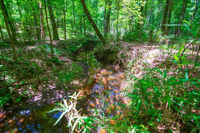 0 White Road, Pine Mountain, GA 31822