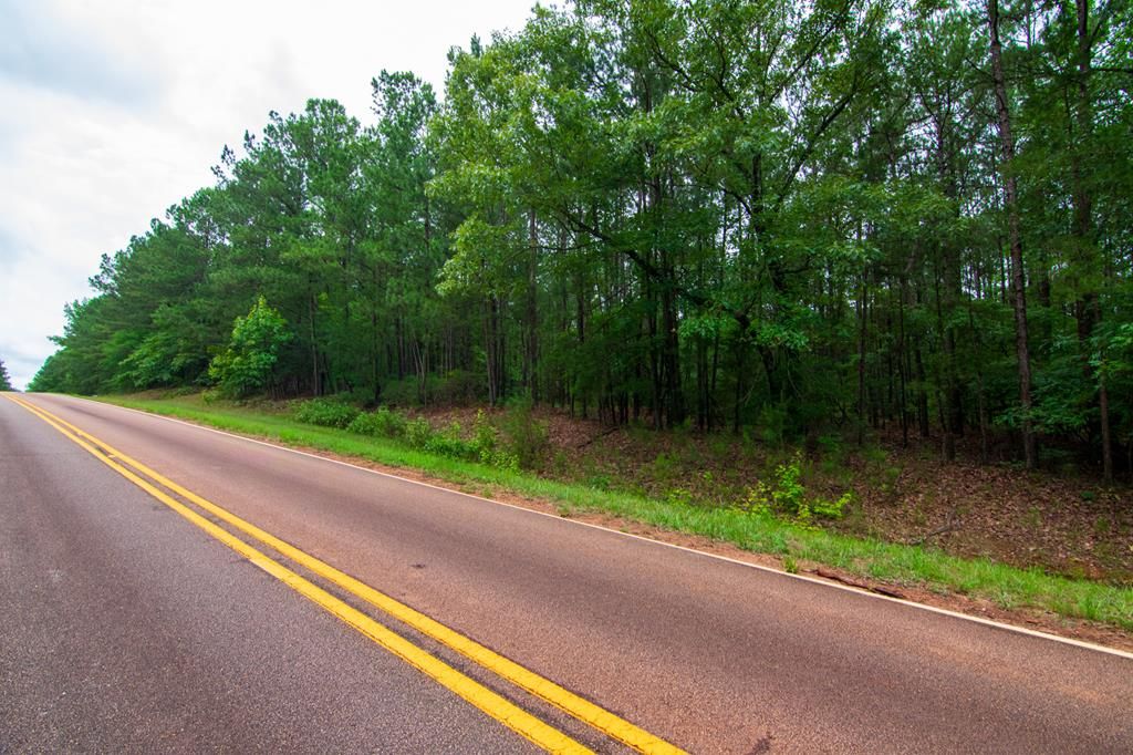 0 White Road, Pine Mountain, GA 31822