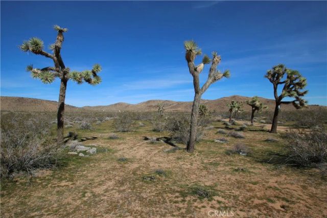 34 La Brisa, Joshua Tree, CA 92252