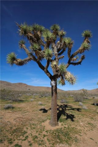 34 La Brisa, Joshua Tree, CA 92252