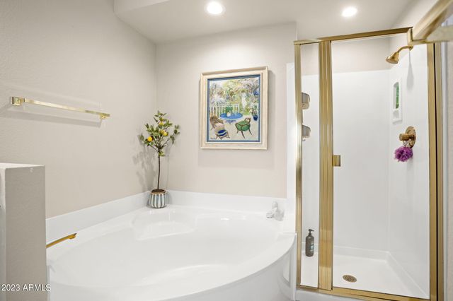 10080 E MOUNTAINVIEW LAKE Drive 254, Scottsdale, AZ 85258