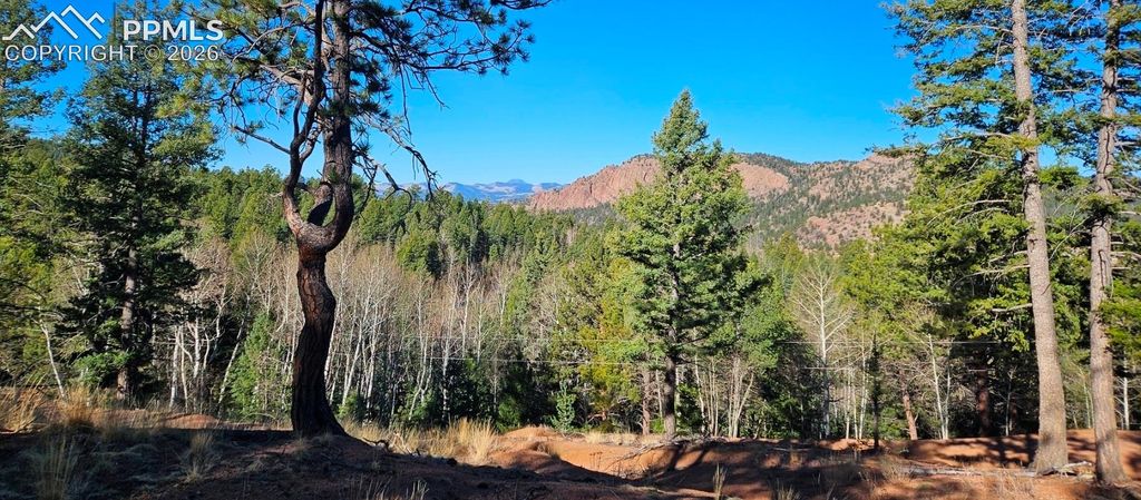 652 Derby Drive, Cripple Creek, CO 80813 — exterior