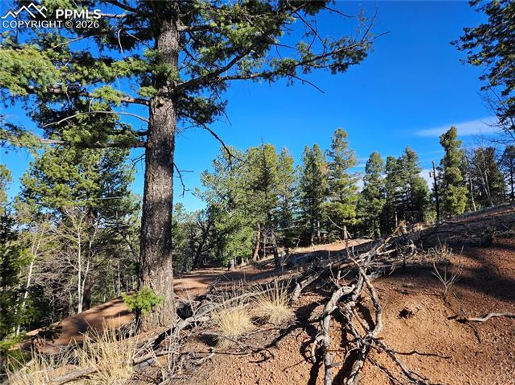 652 Derby Drive, Cripple Creek, CO 80813 — photo 2