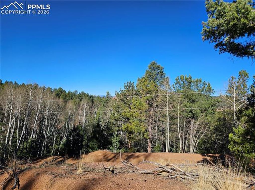 652 Derby Drive, Cripple Creek, CO 80813 — photo 3
