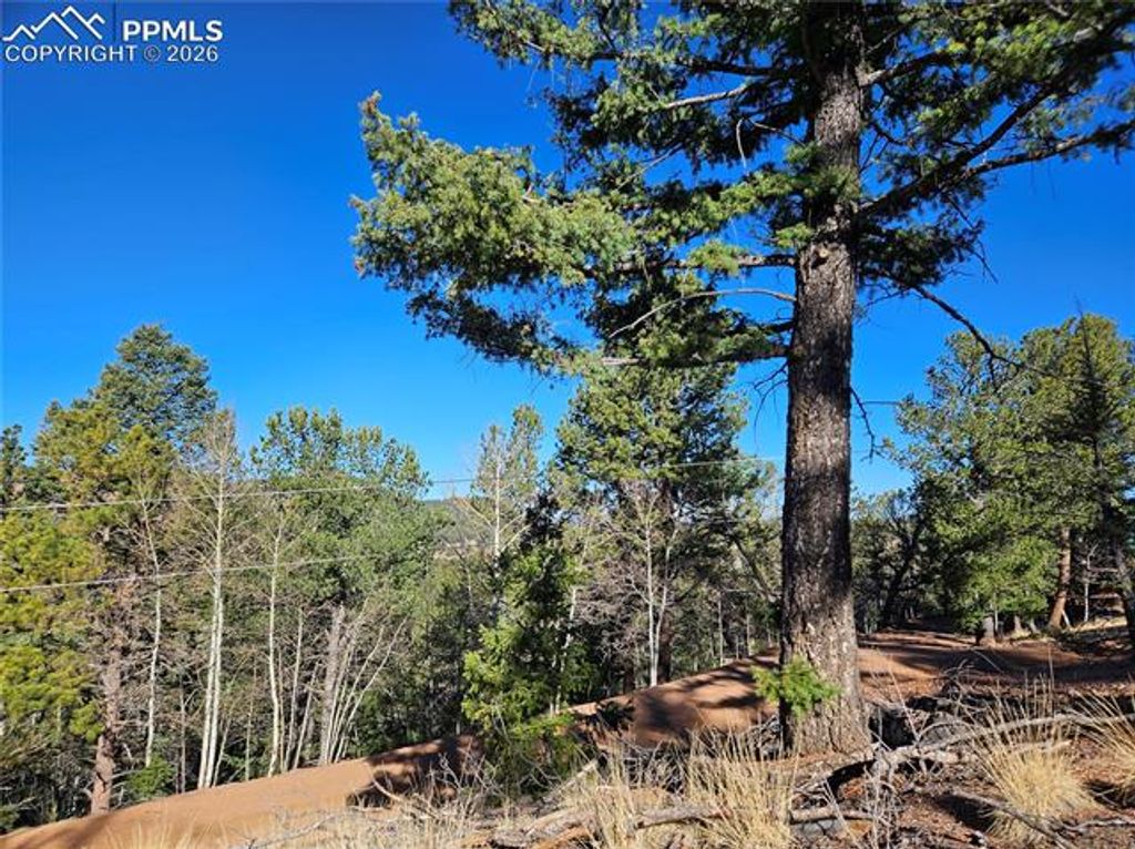 652 Derby Drive, Cripple Creek, CO 80813 — photo 4