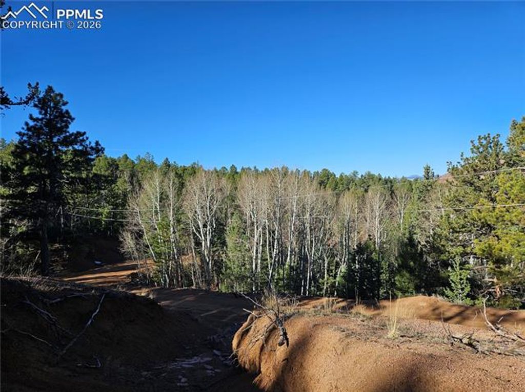 652 Derby Drive, Cripple Creek, CO 80813 — photo 5