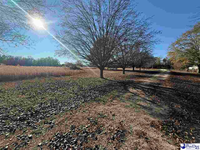 332 Watson Hill Rd, Chesterfield, SC 29709