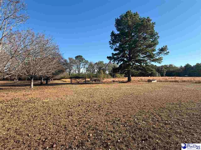 332 Watson Hill Rd, Chesterfield, SC 29709