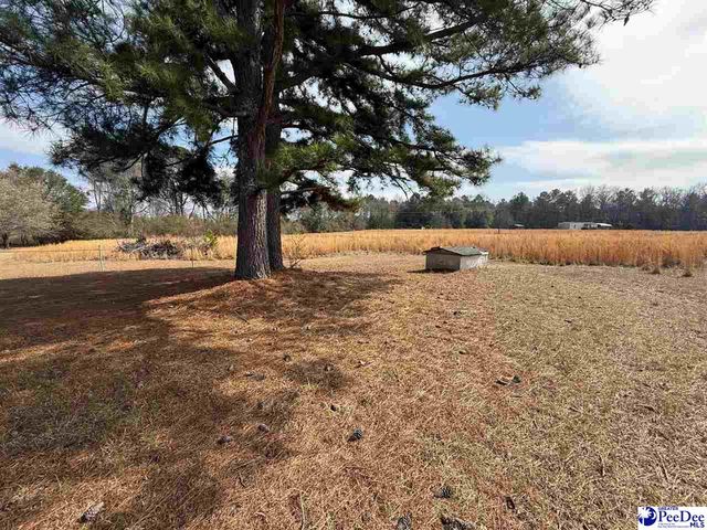 332 Watson Hill Rd, Chesterfield, SC 29709