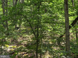 HILLANDALE RD LOT 31, Front Royal, VA 22630