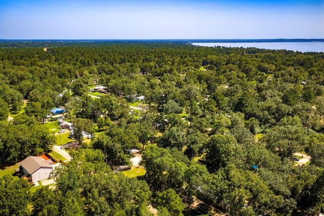267 Osborne Avenue, Livingston, TX 77351
