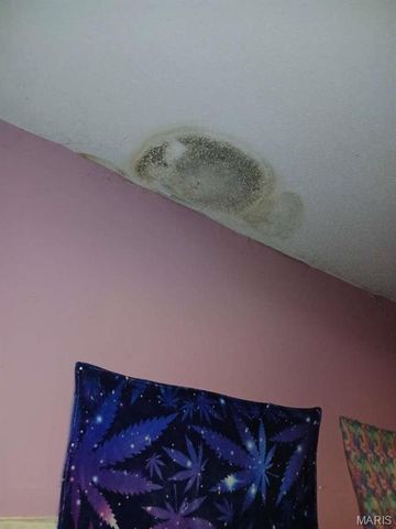 601 E Cedar Street, Bertrand, MO 63823