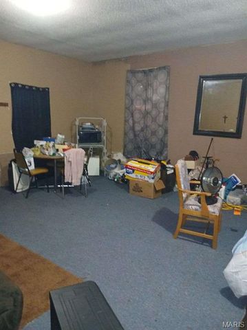 601 E Cedar Street, Bertrand, MO 63823