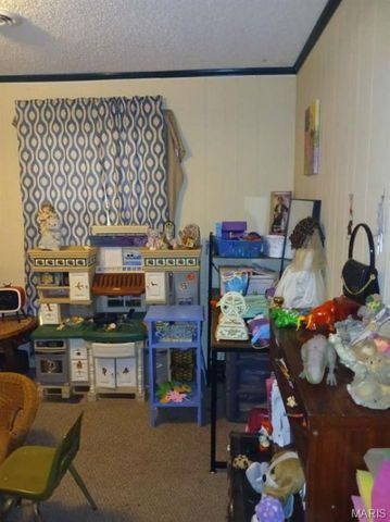 601 E Cedar Street, Bertrand, MO 63823