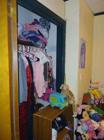 601 E Cedar Street, Bertrand, MO 63823