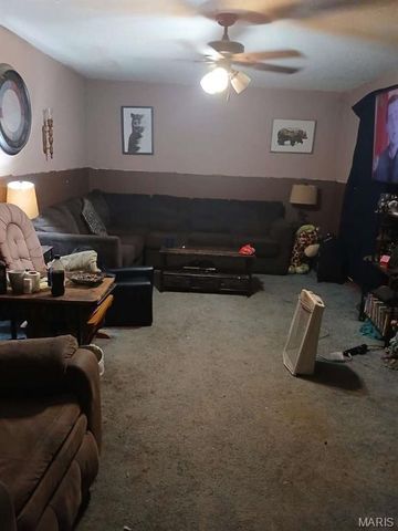 601 E Cedar Street, Bertrand, MO 63823