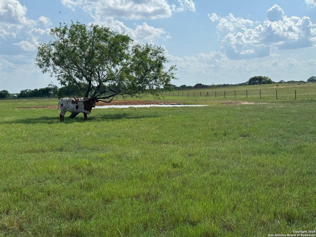 00 E State Highway 97, Floresville, TX 78114