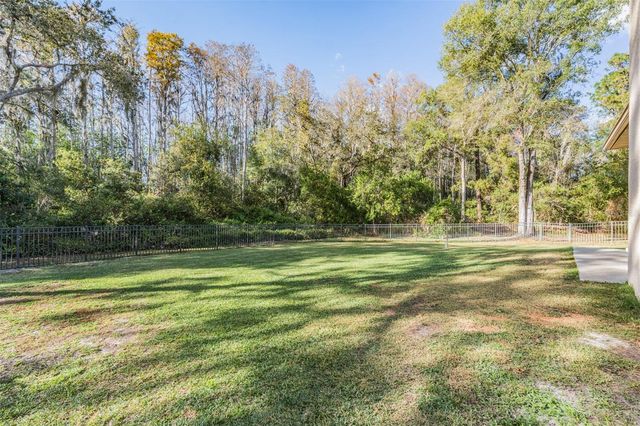 1925 SCHAER WAY, Odessa, FL 33556