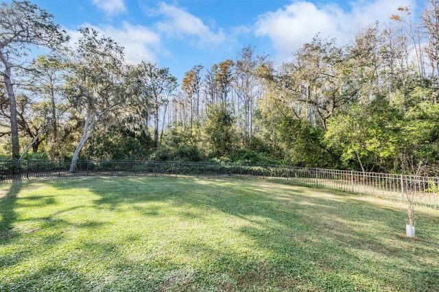 1925 SCHAER WAY, Odessa, FL 33556