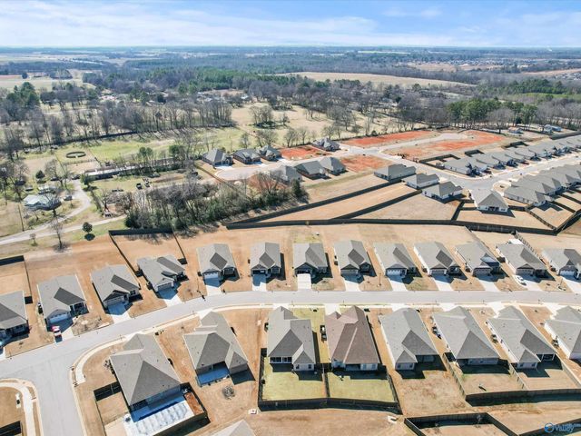 21861 Natures Cove Drive, Athens, AL 35613