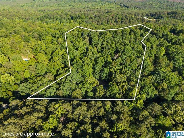 426 OAK RIDGE ROAD, Odenville, AL 35120