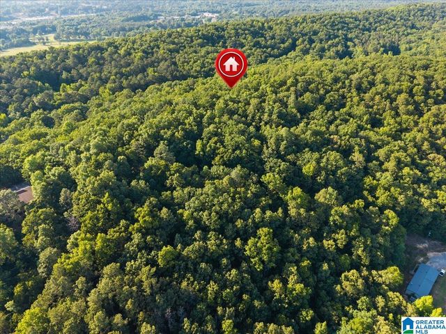426 OAK RIDGE ROAD, Odenville, AL 35120