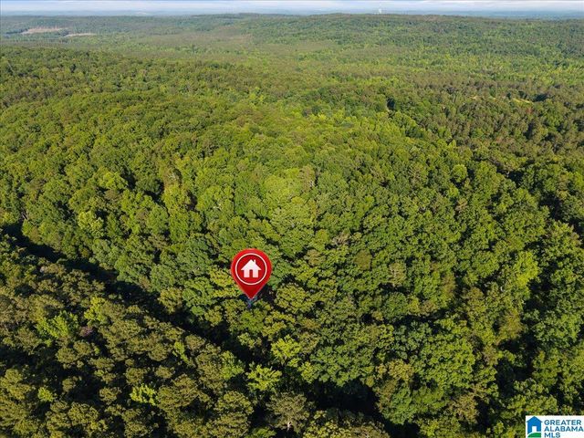 426 OAK RIDGE ROAD, Odenville, AL 35120