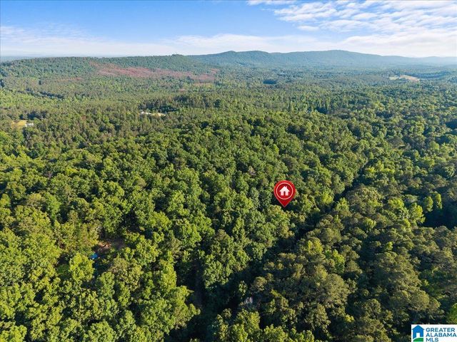 426 OAK RIDGE ROAD, Odenville, AL 35120