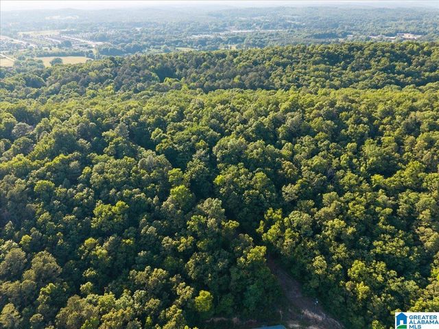 426 OAK RIDGE ROAD, Odenville, AL 35120