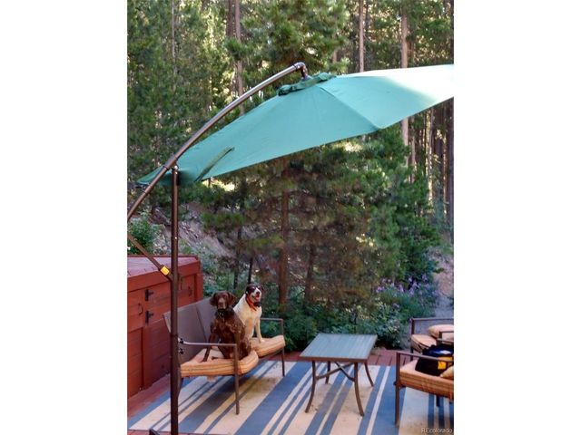 9198 Black Mountain Dr, Conifer, CO 80433