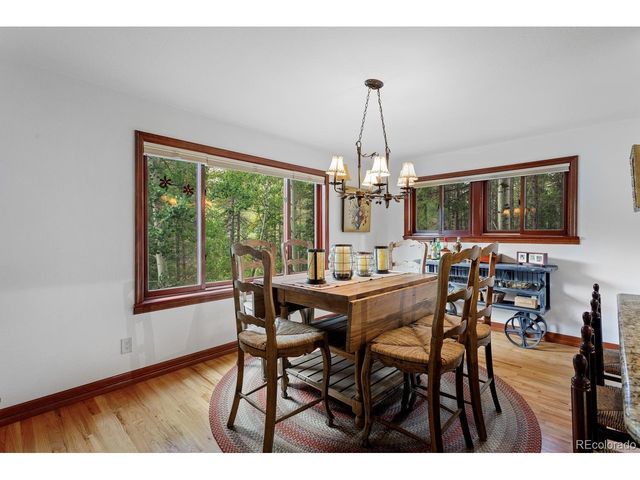 9198 Black Mountain Dr, Conifer, CO 80433