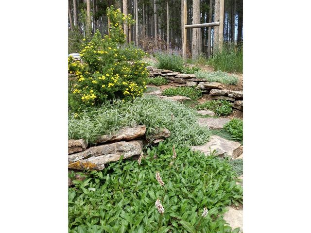 9198 Black Mountain Dr, Conifer, CO 80433