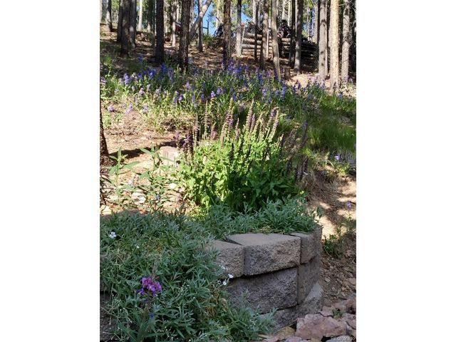 9198 Black Mountain Dr, Conifer, CO 80433