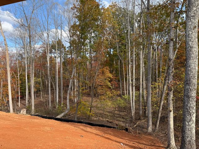 42 Belvoir CIR, Moneta, VA 24121