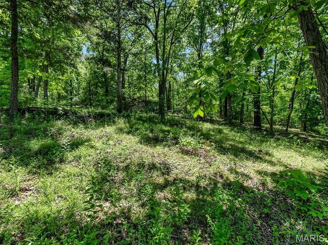 6482 S Lakeshore Drive, Hillsboro, MO 63050