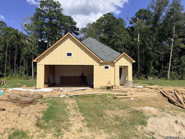 24178 Steller's Sea Drive, Denham Springs, LA 70726