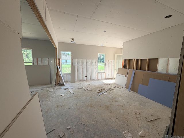 24178 Steller's Sea Drive, Denham Springs, LA 70726