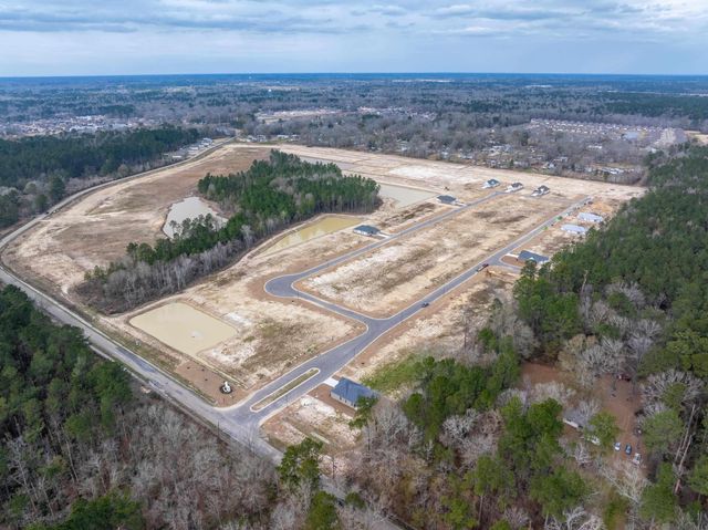 24178 Steller's Sea Drive, Denham Springs, LA 70726