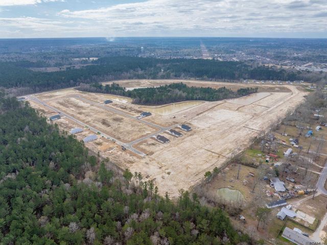24178 Steller's Sea Drive, Denham Springs, LA 70726