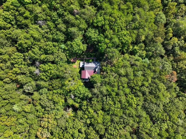 55 Tickanetley Lane, Ellijay, GA 30536